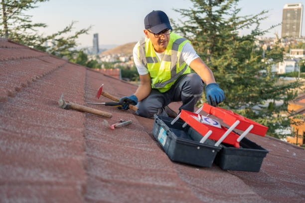 Best Storm Damage Siding Repair  in Redway, CA